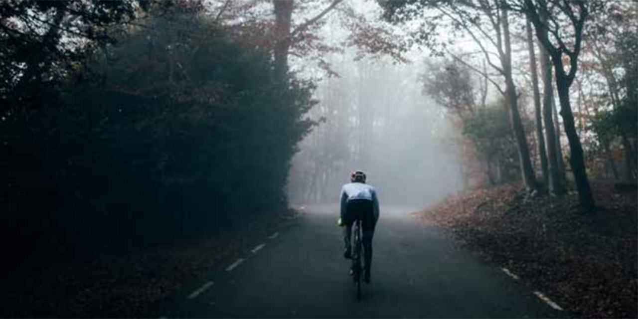 Bicycle rider on road lined by trees.